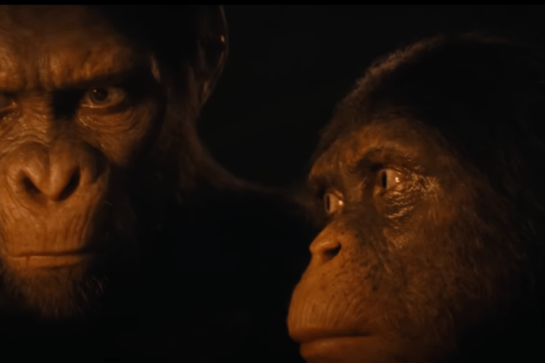 An Era of Apes: Unveiling the Kingdom