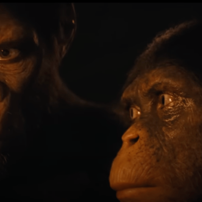 An Era of Apes: Unveiling the Kingdom