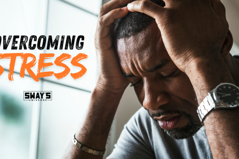 David Webber’s Secret to Beating Stress in 2024