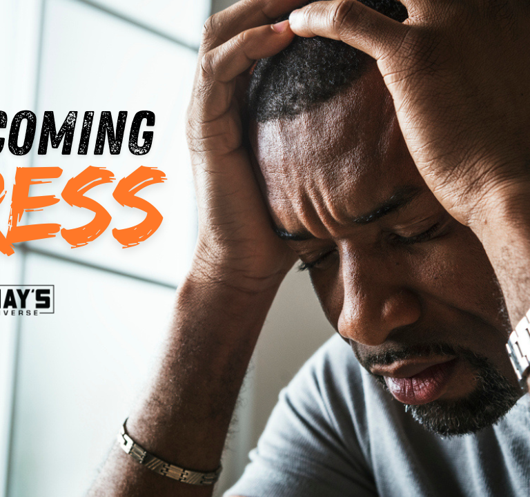 David Webber’s Secret to Beating Stress in 2024