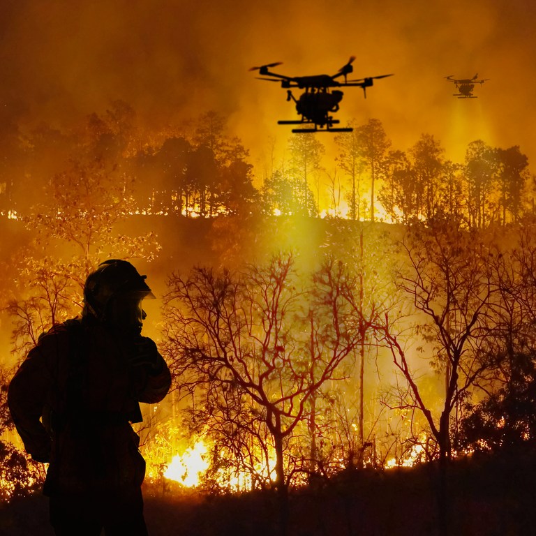 California Wildfires 2024: What’s Happening and How to Stay Safe