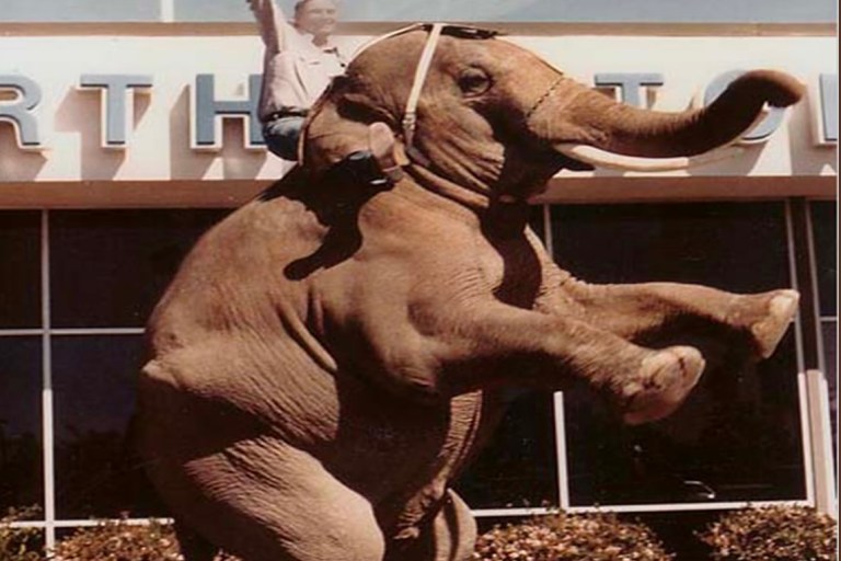 Sacramento Artist Markas Drops New Hustler’s Anthem + Visual To “Cal Worthington”