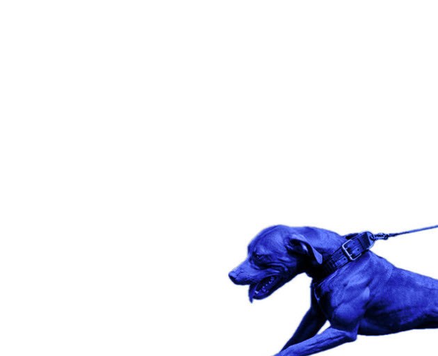 Jason Martin x Mike & Keys Collaborate on West Coast Album “A Hit Dog Gon Holla”