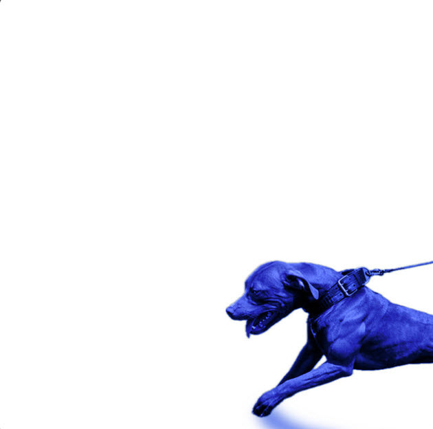 Jason Martin x Mike & Keys Collaborate on West Coast Album “A Hit Dog Gon Holla”