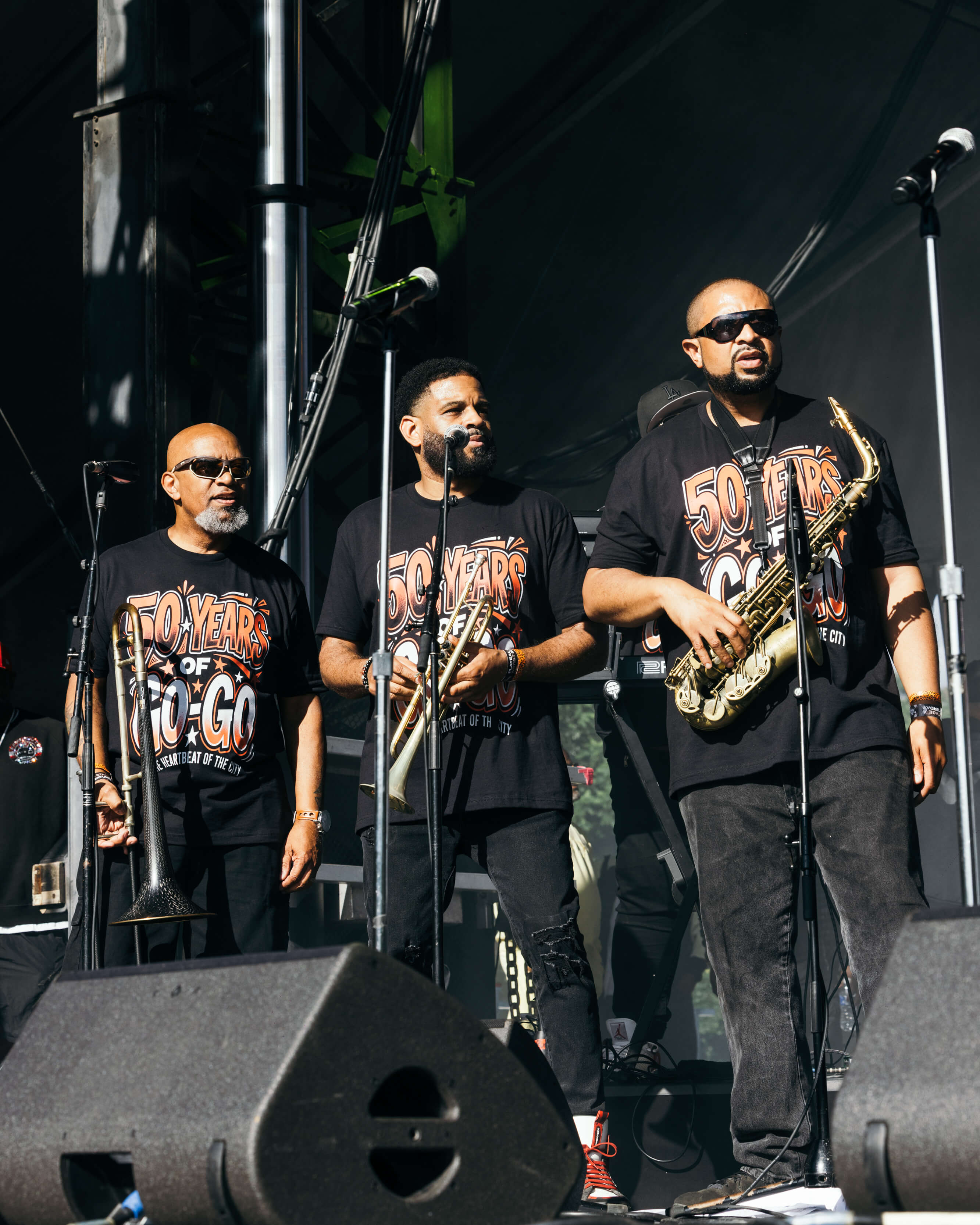 50YEAROFGOGO Shaunllewellyn SHAUN LLEWELLYN ROOTS PICNIC 26 DAY1 18