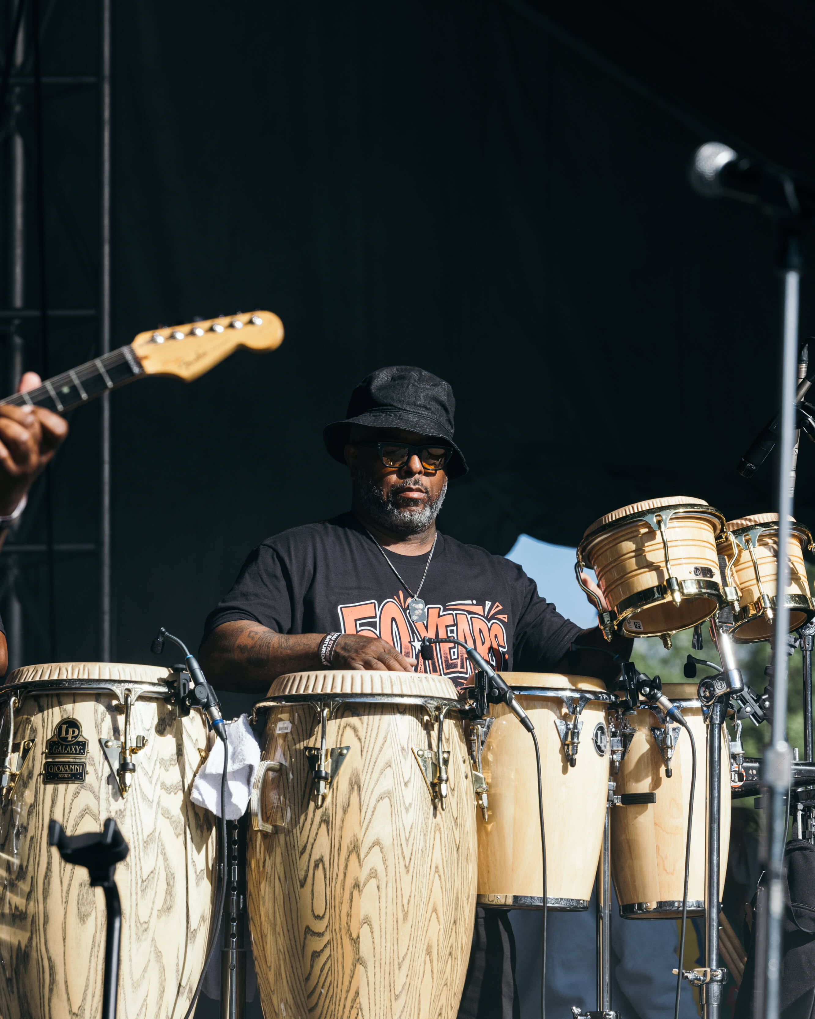 50YEAROFGOGO Shaunllewellyn SHAUN LLEWELLYN ROOTS PICNIC 26 DAY1 4